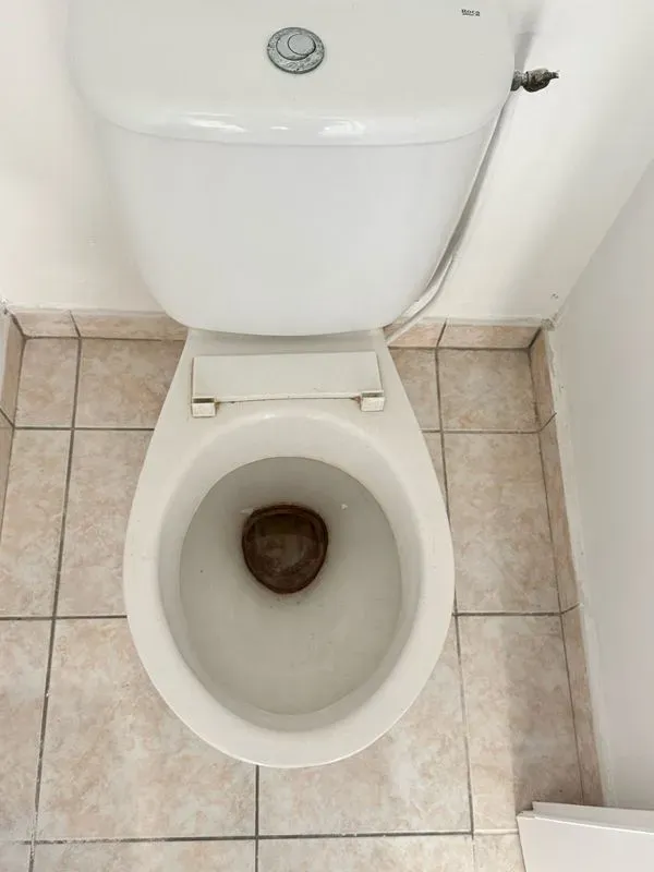 Toilettes sales