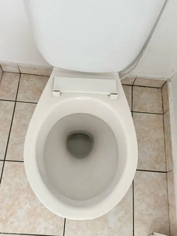 Toilette propre